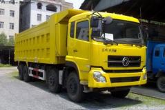 東風(fēng) 大力神重卡 260馬力 8X4 自卸車(DFL3311AX1A)